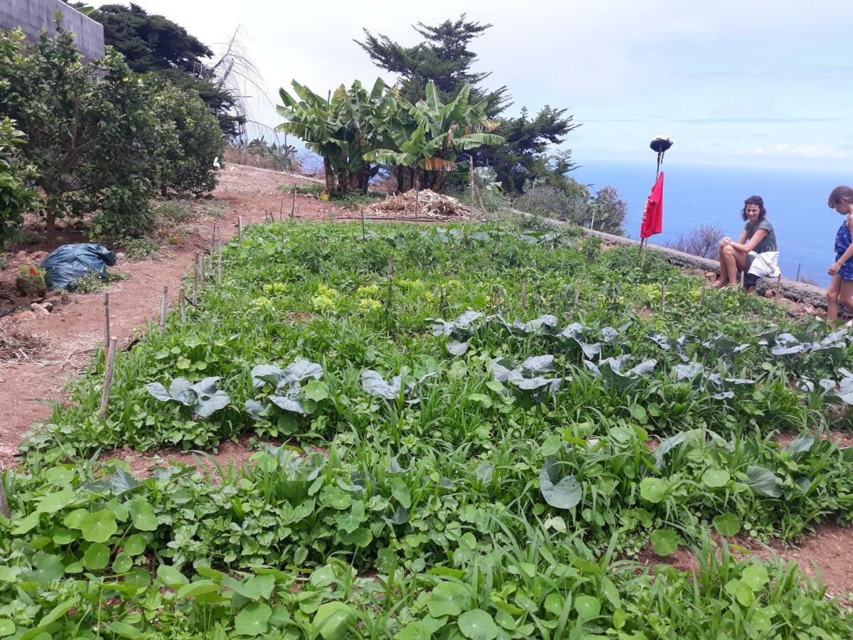 Casas En Finca Ecologica La Espiral, Naturaleza, Calma Y Vistas Al Mar, Icod el Alto Exteriör bild